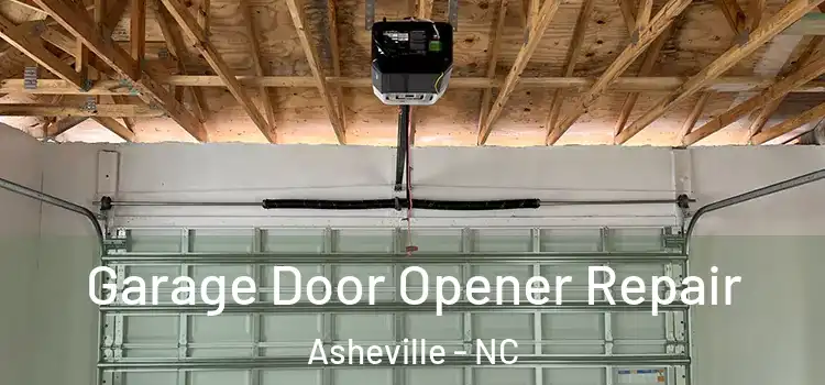  Garage Door Opener Repair Asheville - NC