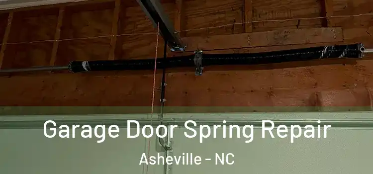  Garage Door Spring Repair Asheville - NC